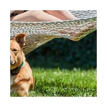 láthatatlan kerítés