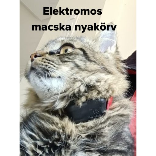 elektromos macska nyakörv
